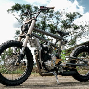 The Bulldog Ninja-Powered BMX Cub BikeBound