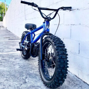 New Project (39) (1)