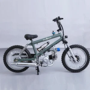 BMX Gas Motor Bike Off-Road Motorcycle Adult 50cc 110cc Engine 22 Wheels