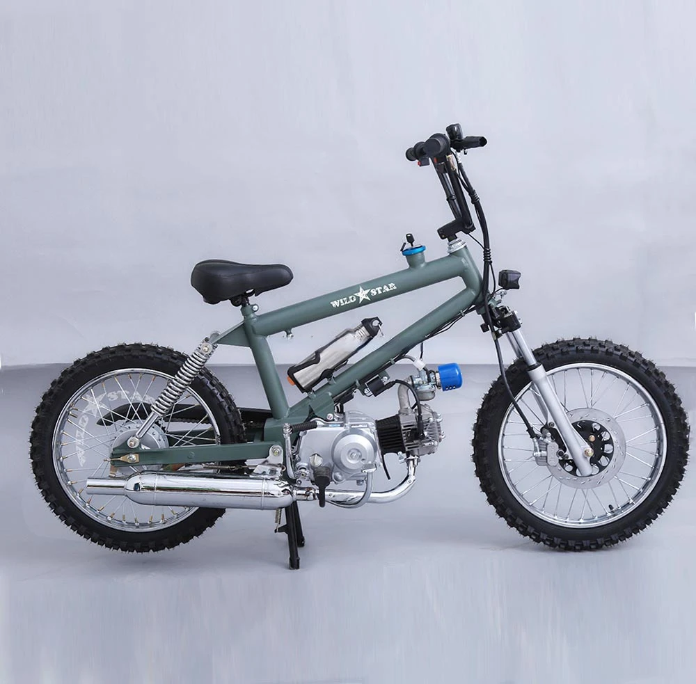 BMX Gas Motor Bike Off-Road Motorcycle Adult 50cc 110cc Engine 22 Wheels